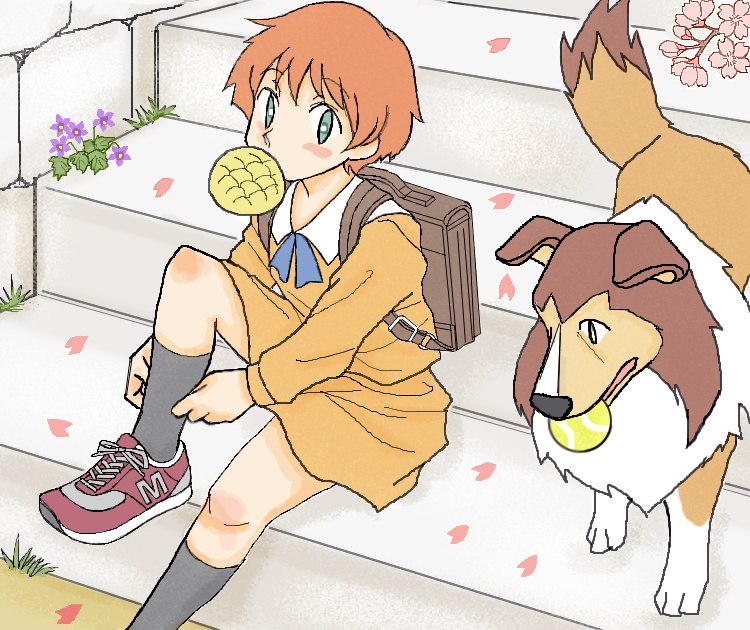 「名犬ラッシー（2024春）」 illustrated by ねっつん